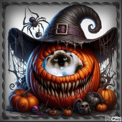 Pasquenella of the Ada family