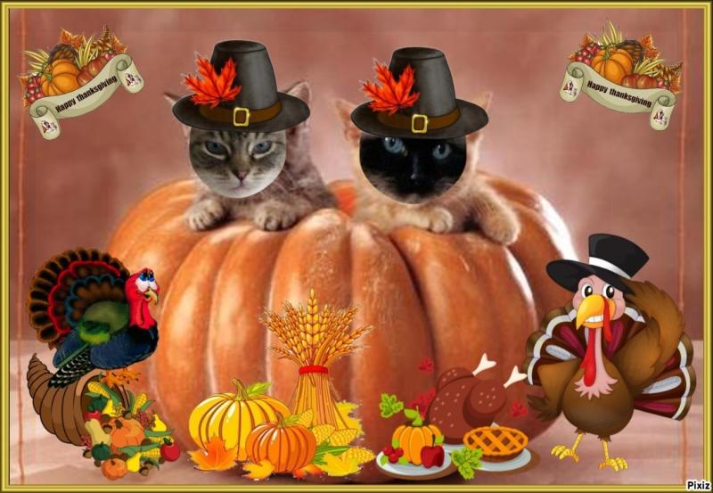 Pasquenella of the Ada family