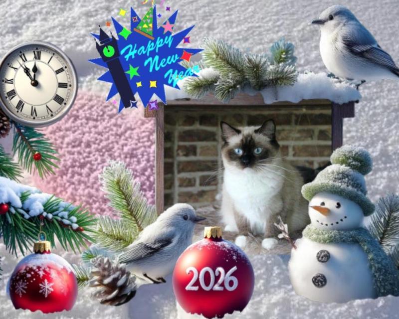 Pasquenella of the Ada family