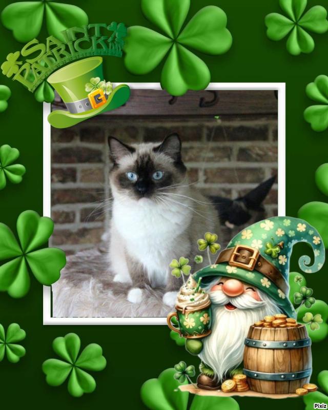 Ada uploaded   32  day/s  ago