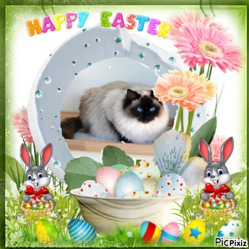 Pasquenella of the Ada family