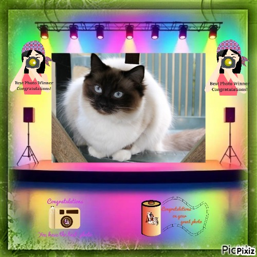 Pasquenella of the Ada family