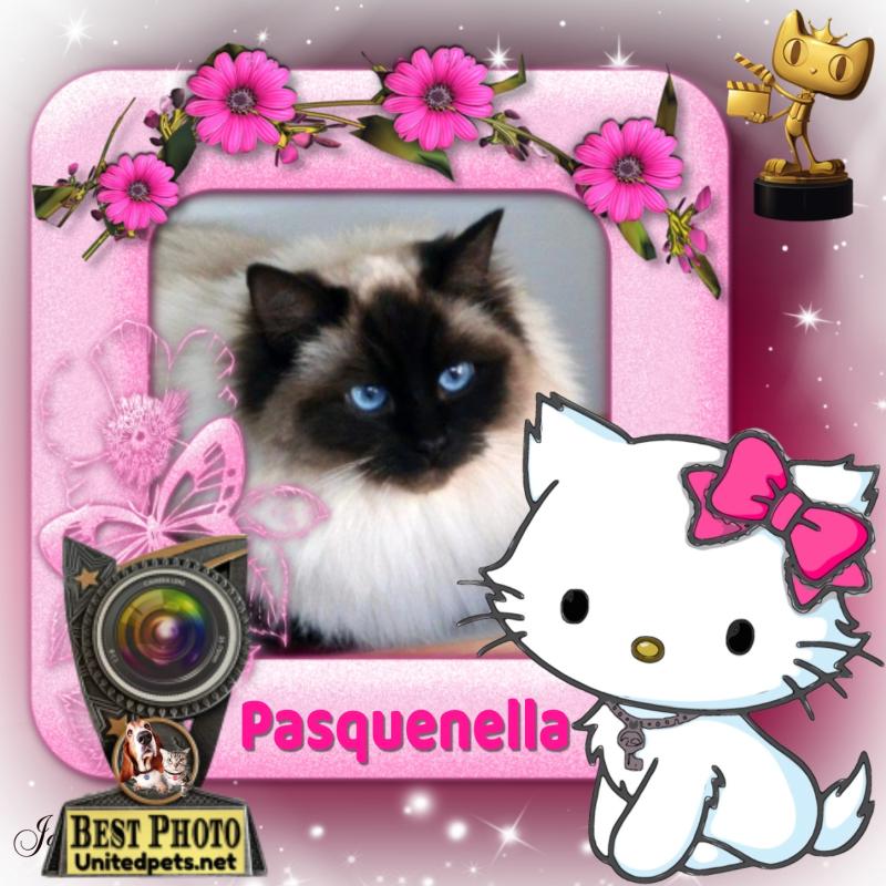 Pasquenella of the Ada family