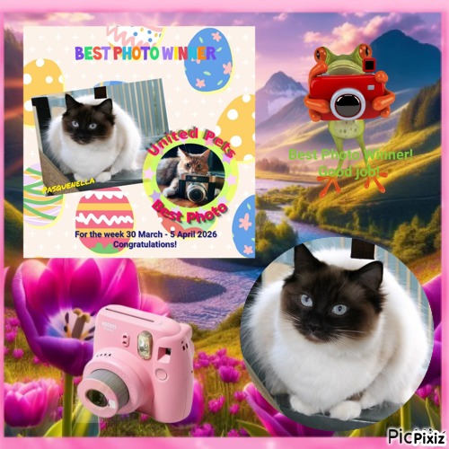 Pasquenella of the Ada family