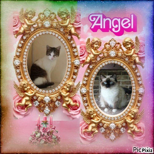 Pasquenella of the Ada family