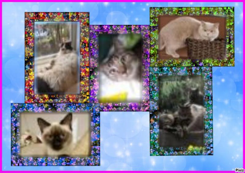 Aisha of the Ada family