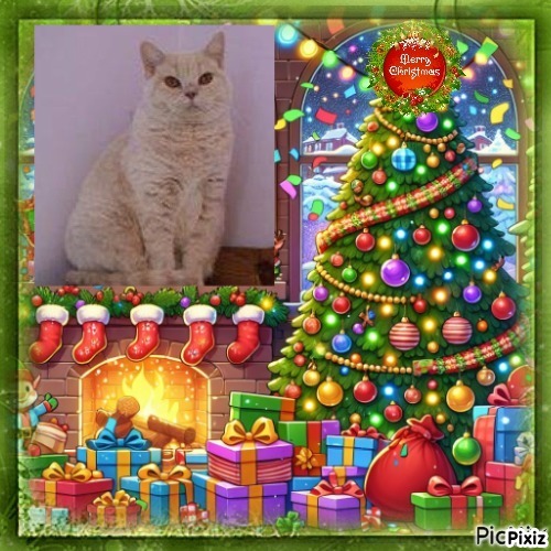 Aisha of the Ada family