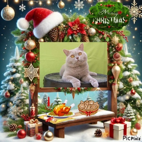 Aisha of the Ada family