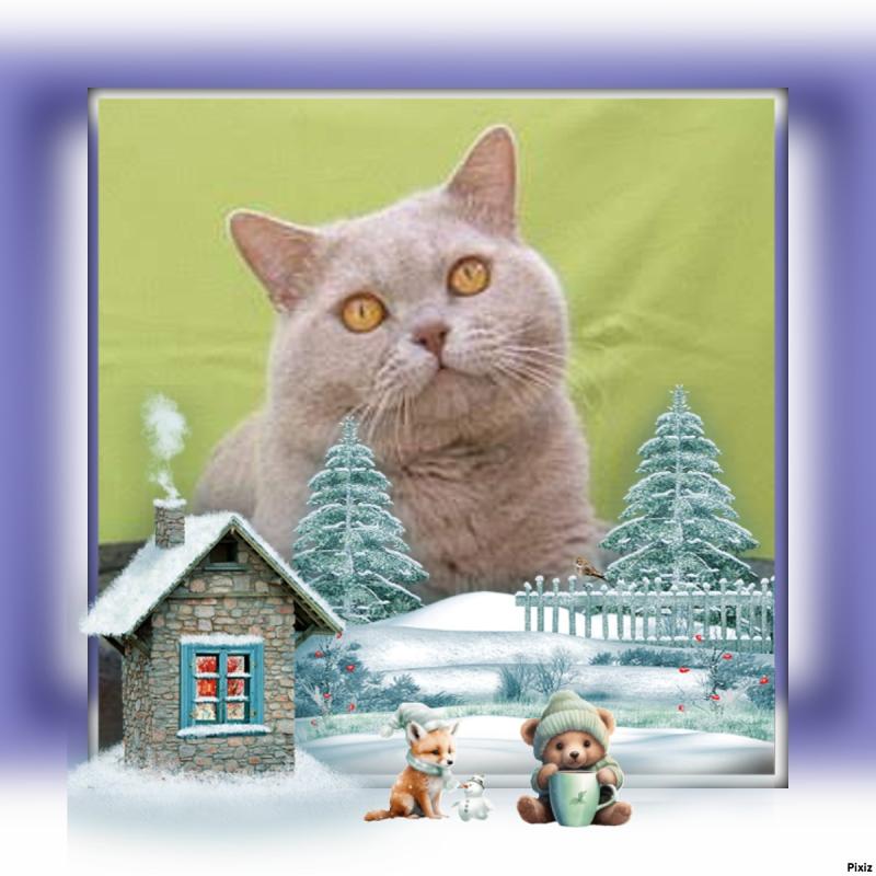 Aisha of the Ada family