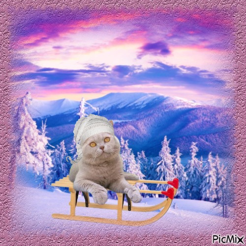 Aisha of the Ada family