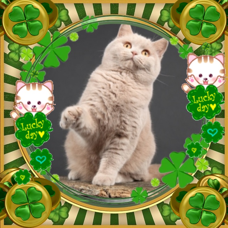 Aisha of the Ada family