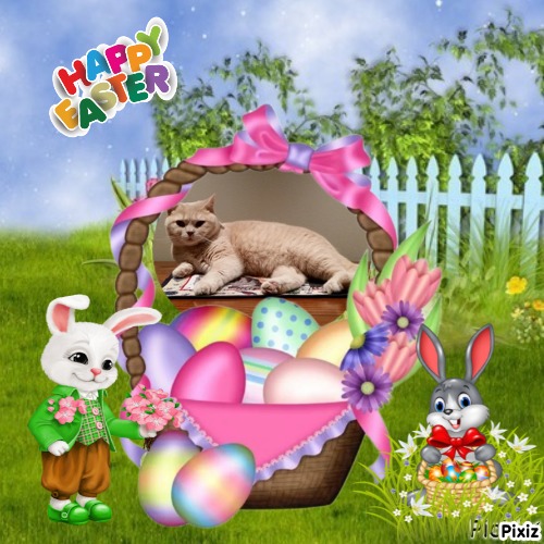 Aisha of the Ada family