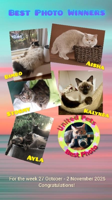 Aisha of the Ada family