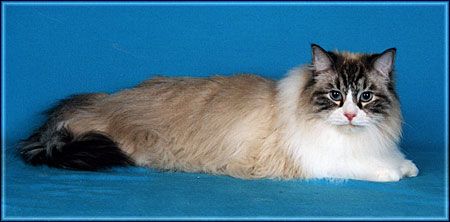 Ada uploaded   55  day/s  ago