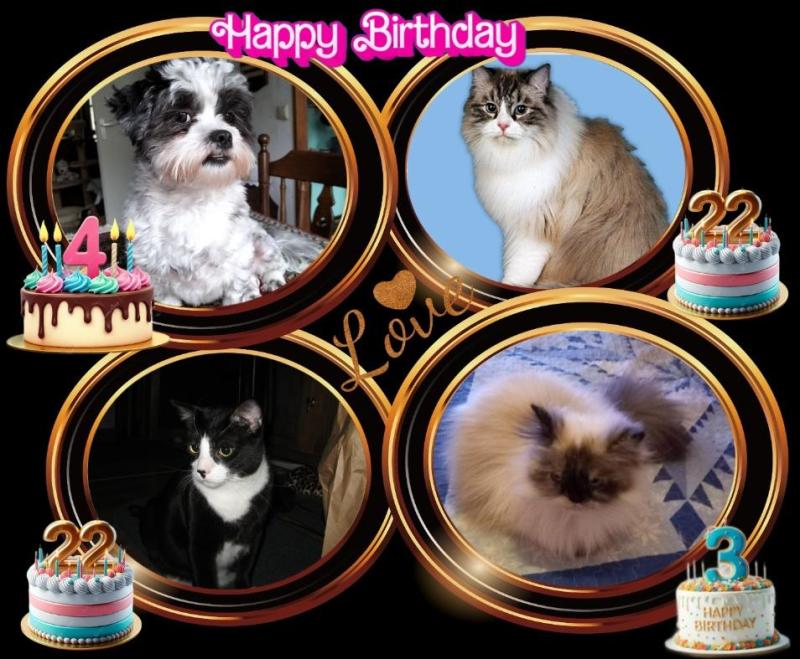 Ada uploaded   34  day/s  ago