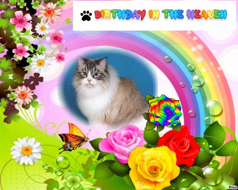 Carte Blanche of the Ada family