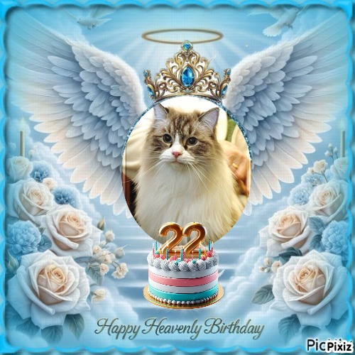 Carte Blanche of the Ada family