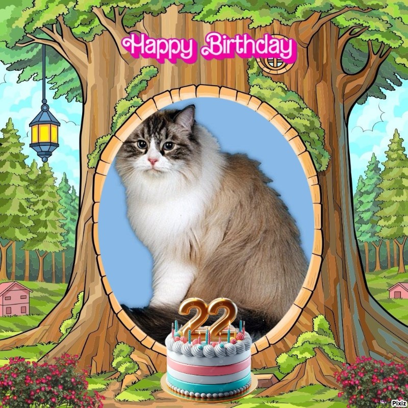 Carte Blanche of the Ada family