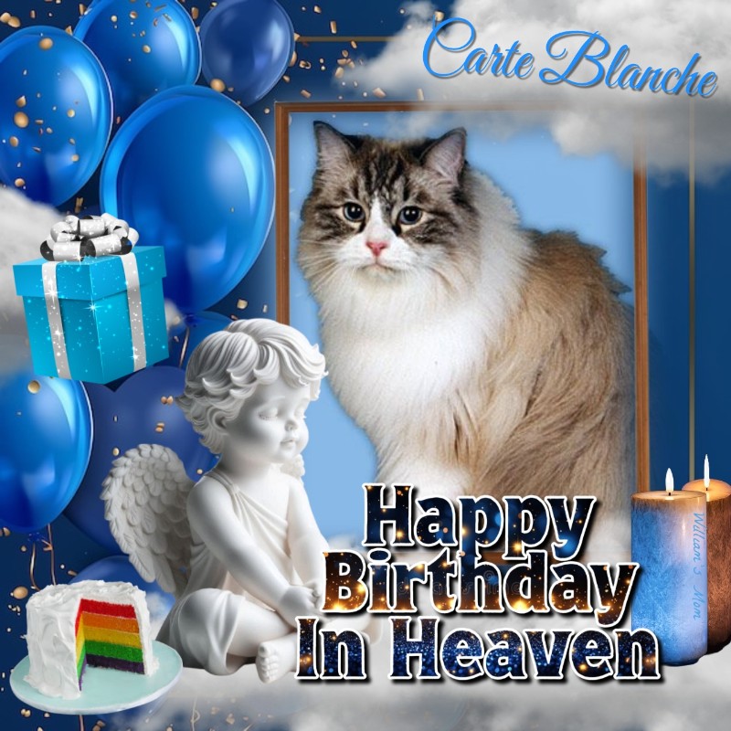 Ada uploaded   33  day/s  ago