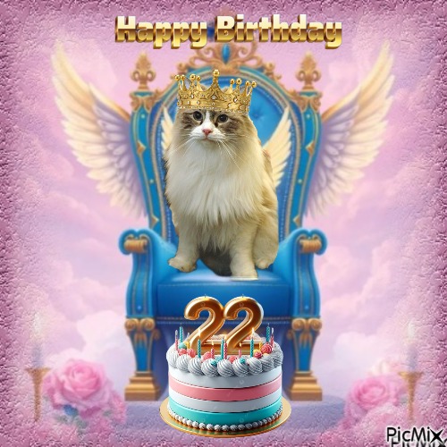 Carte Blanche of the Ada family