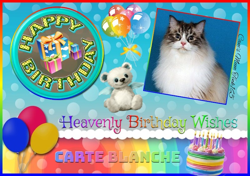 Ada uploaded   33  day/s  ago