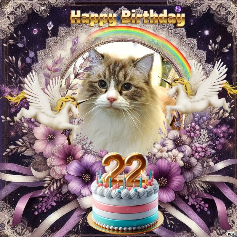 Carte Blanche of the Ada family