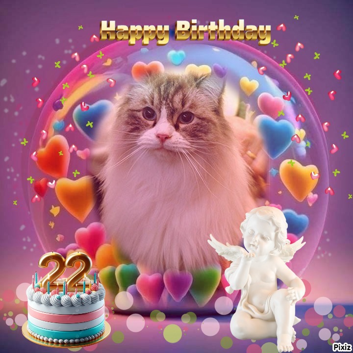 Carte Blanche of the Ada family