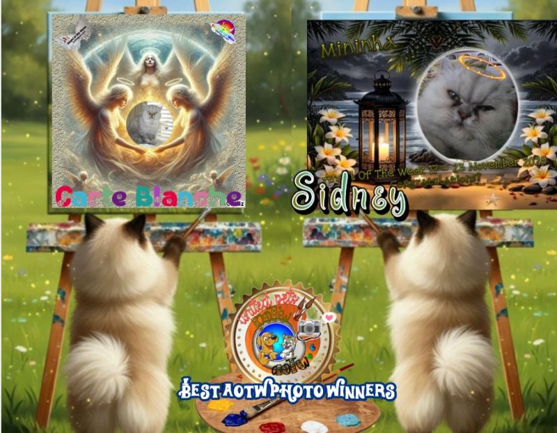 Ada uploaded   160  day/s  ago