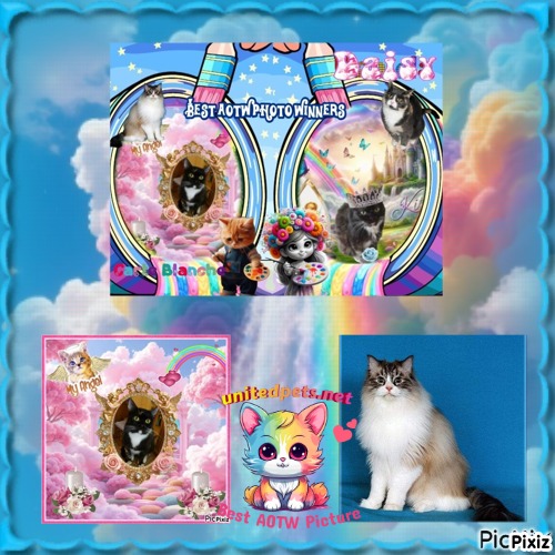 Carte Blanche of the Ada family