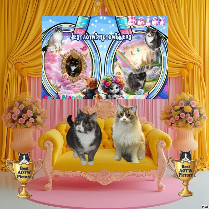 Carte Blanche of the Ada family