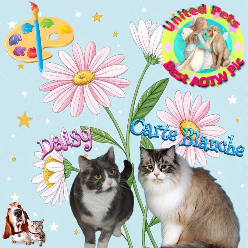 Ada uploaded   62  day/s  ago