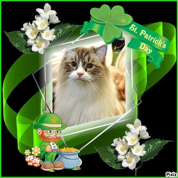 Carte Blanche of the Ada family