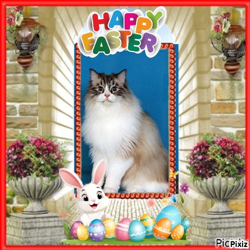 Carte Blanche of the Ada family