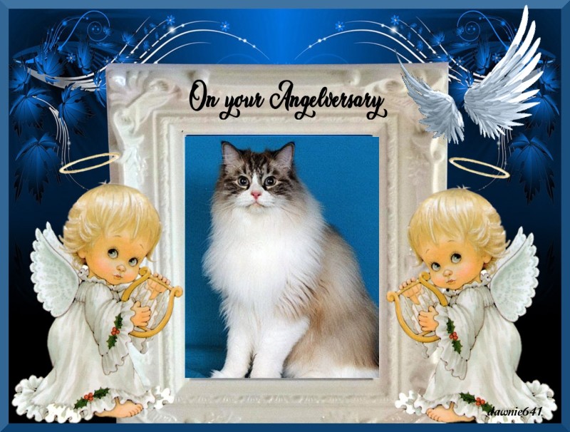 Carte Blanche of the Ada family