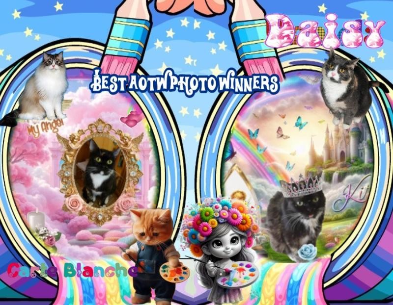 Carte Blanche of the Ada family