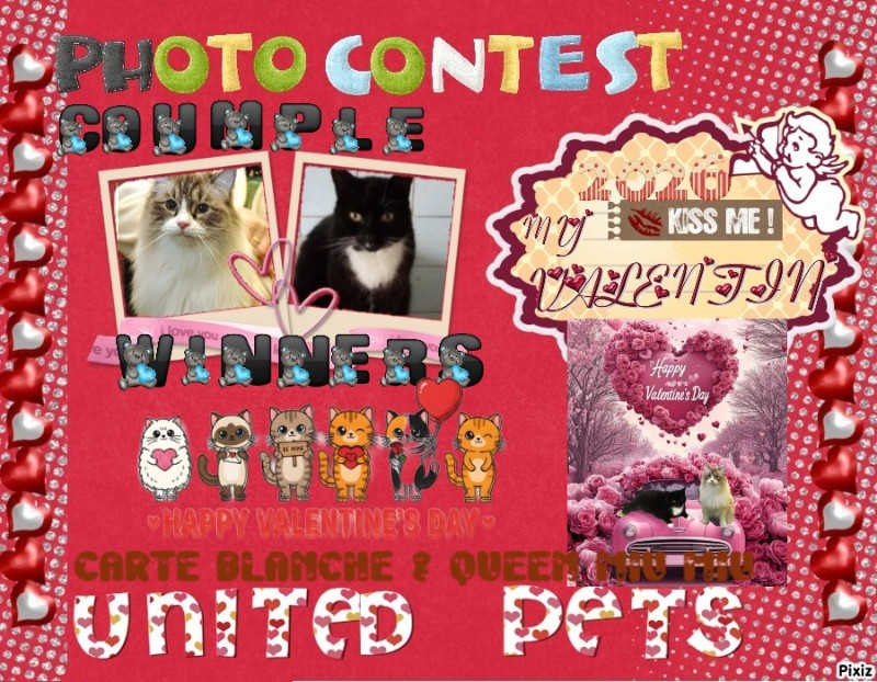 Carte Blanche of the Ada family