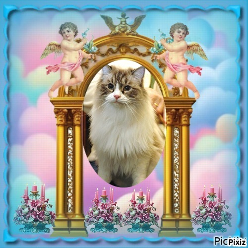 Carte Blanche of the Ada family