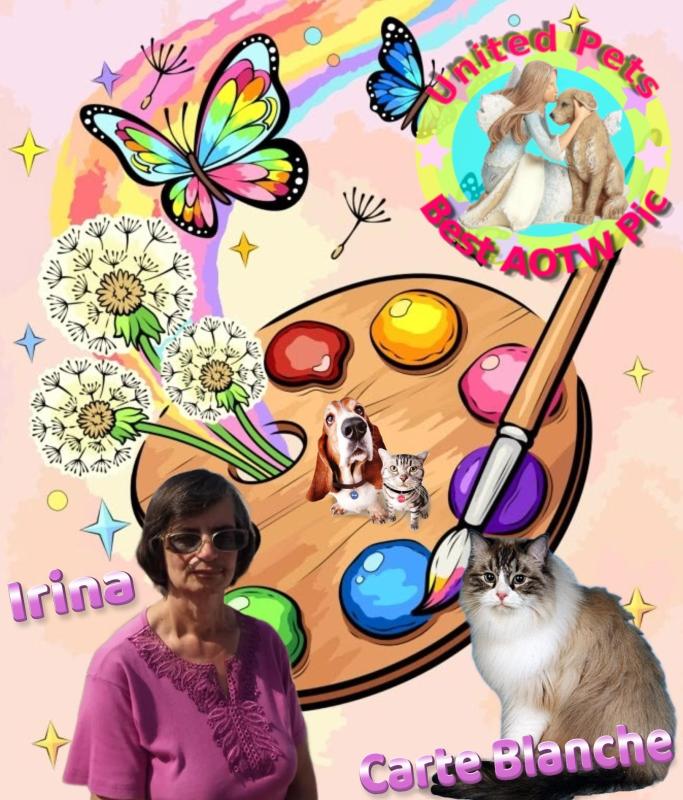 Carte Blanche of the Ada family