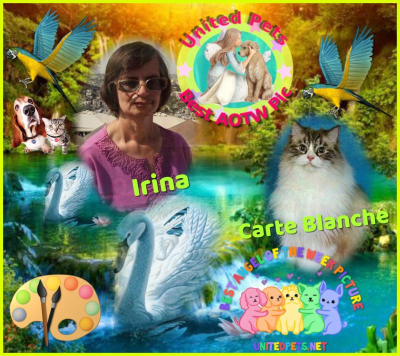 Carte Blanche of the Ada family