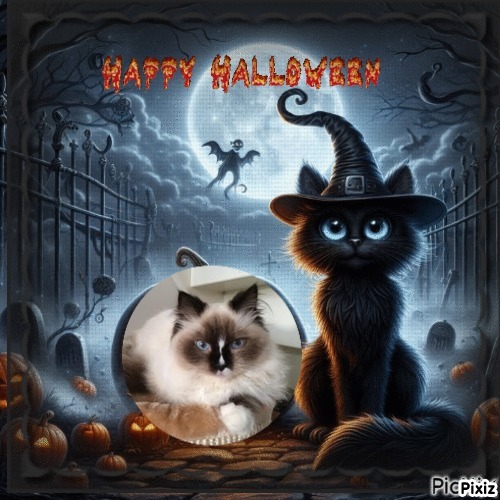 Chelsey of the Ada family