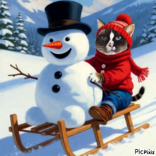 Chelsey of the Ada family