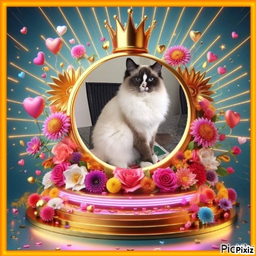 Chelsey of the Ada family