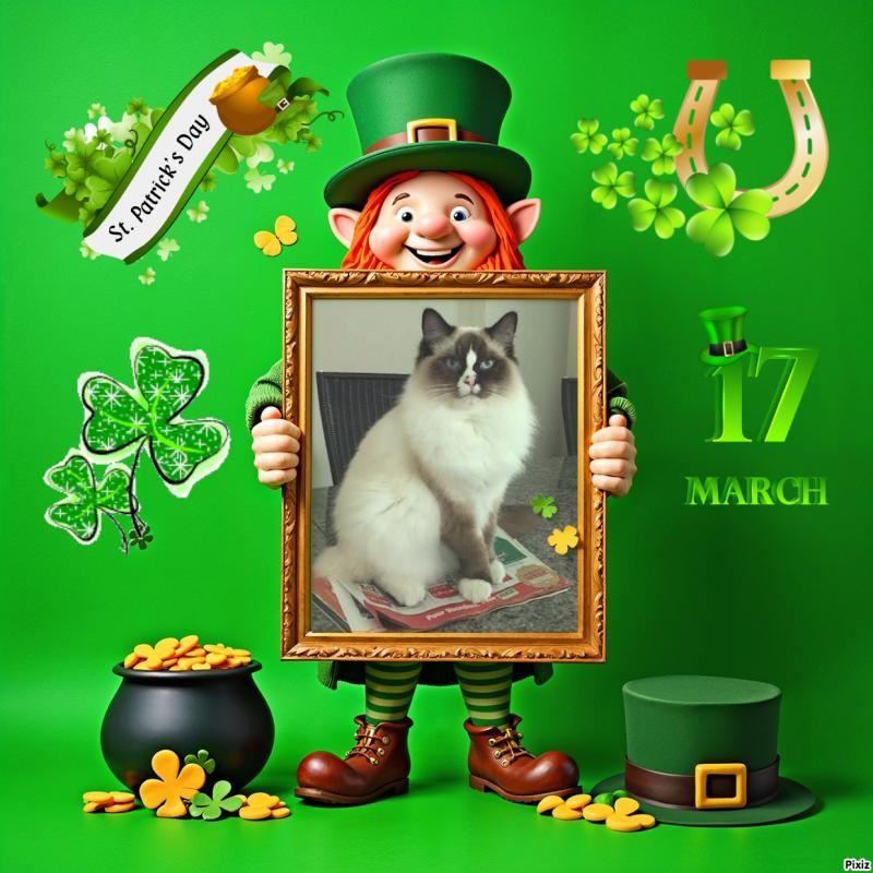 Chelsey of the Ada family