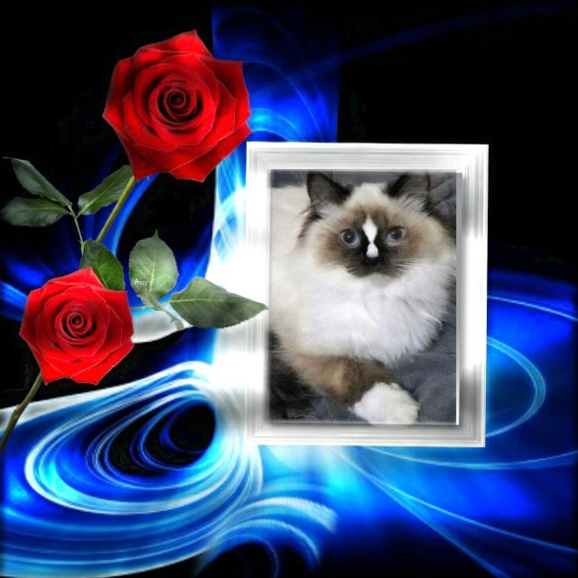 Chelsey of the Ada family