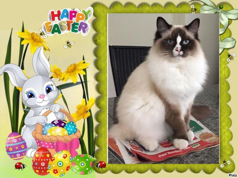 Chelsey of the Ada family