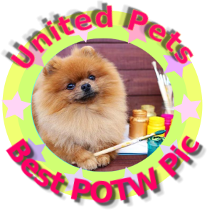 Chelsey of the Ada family