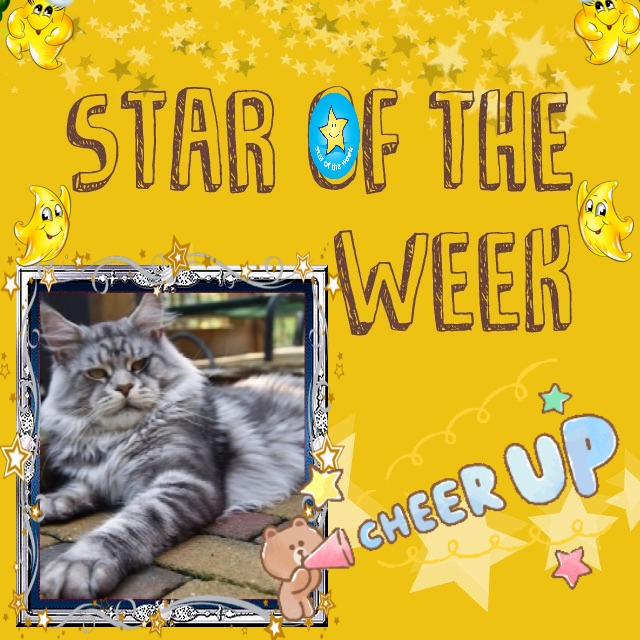 Candice-armani of the Ada family