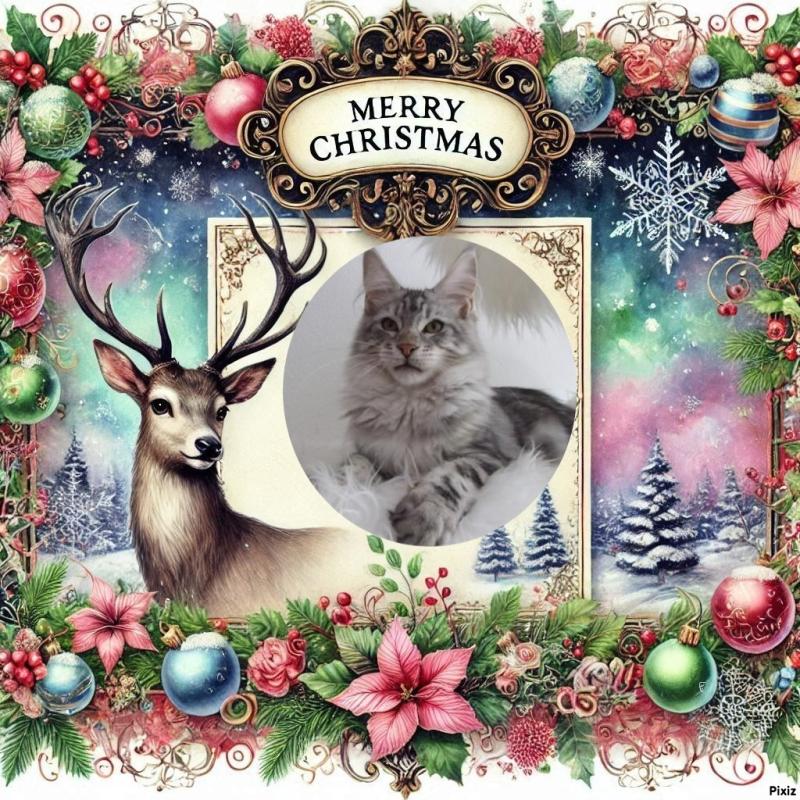 Candice-armani of the Ada family