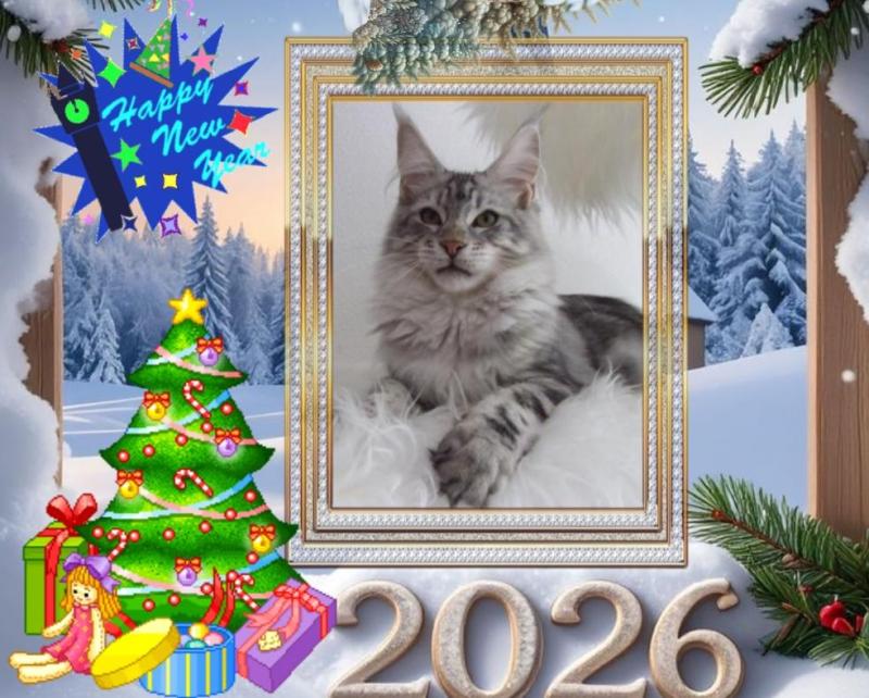 Candice-armani of the Ada family