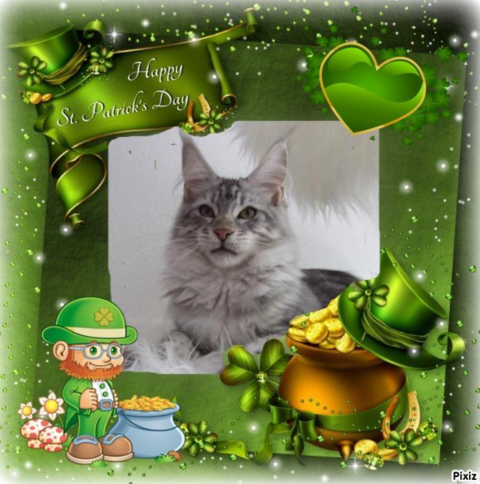 Candice-armani of the Ada family